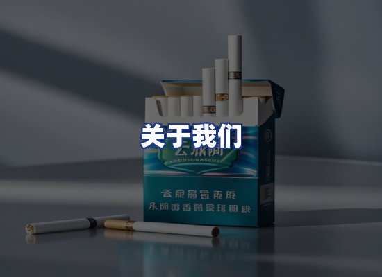 专业团队